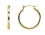 Hoop Earrings