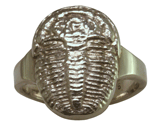 SS Trilobite Ring